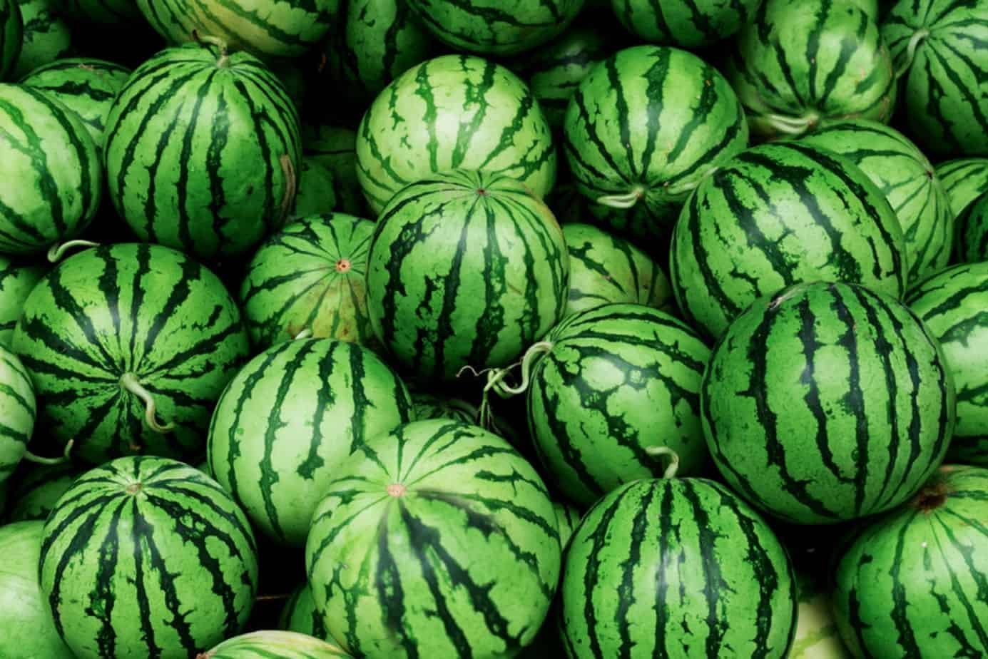 WATERMELON