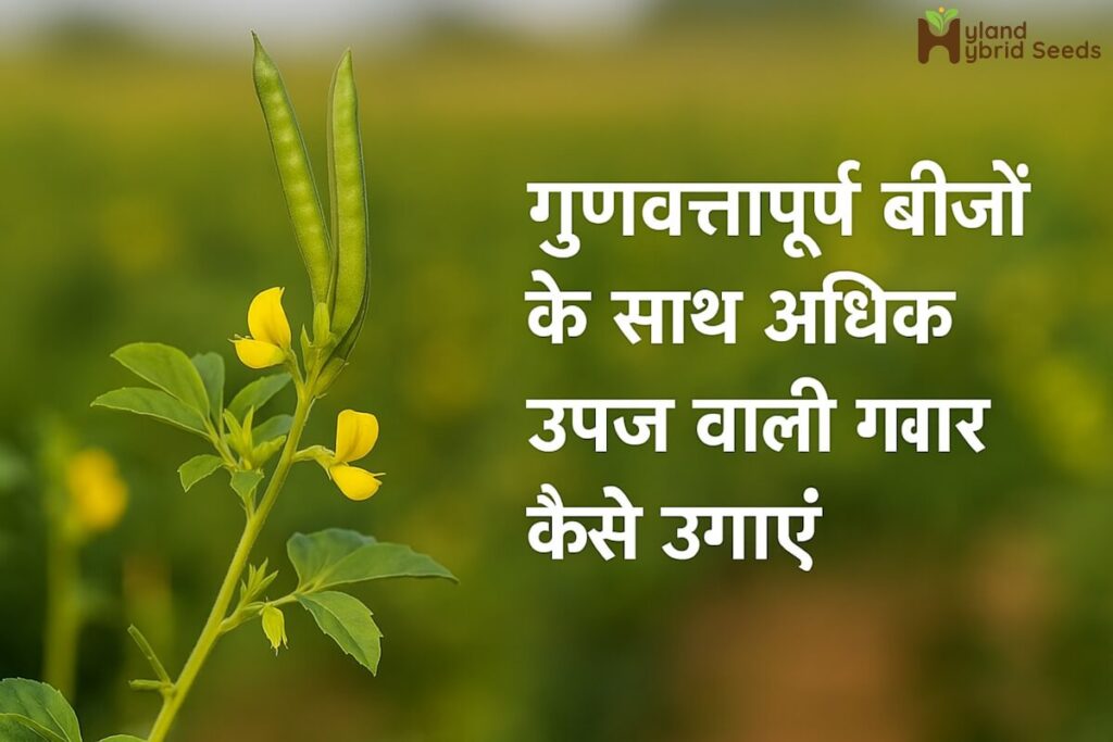 ग्वार के बीज