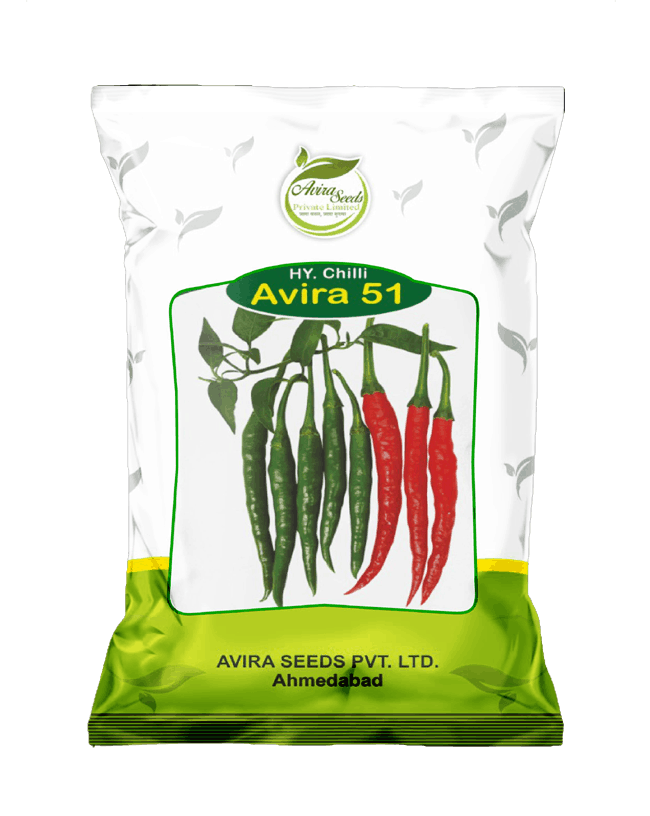 Chilli-511 Chilli-511