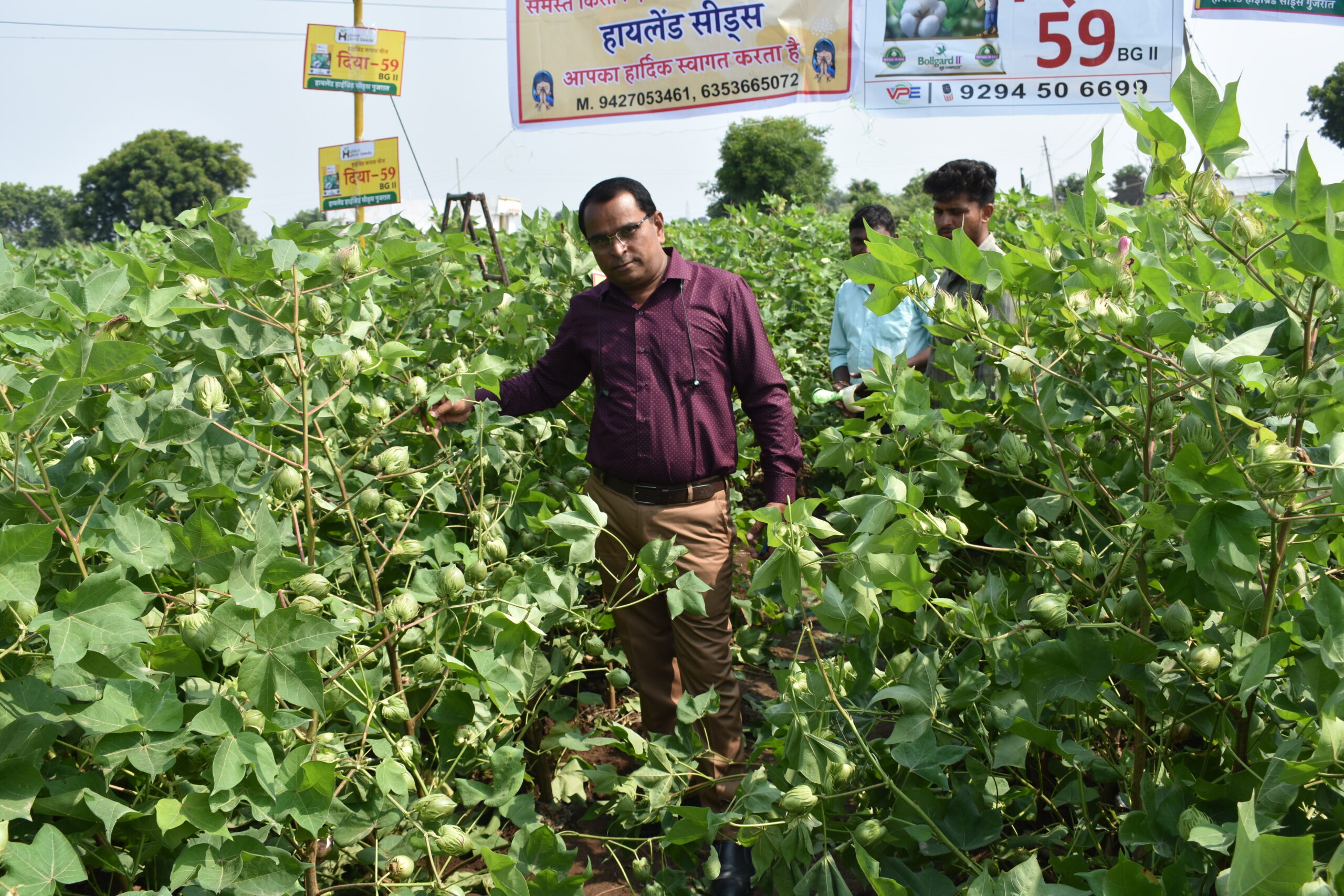 Farmer standing in a lush green field