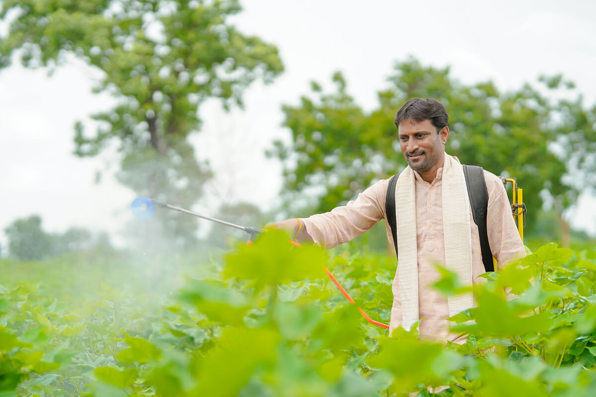 Protecting crops Protecting crops