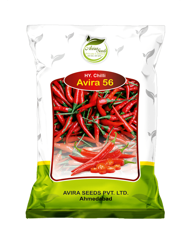 avira-56 avira-56