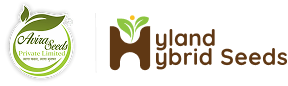 avira-and-hyland-logo