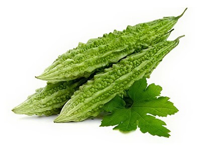 bitterguard-thumb HY. BITTER GOURD