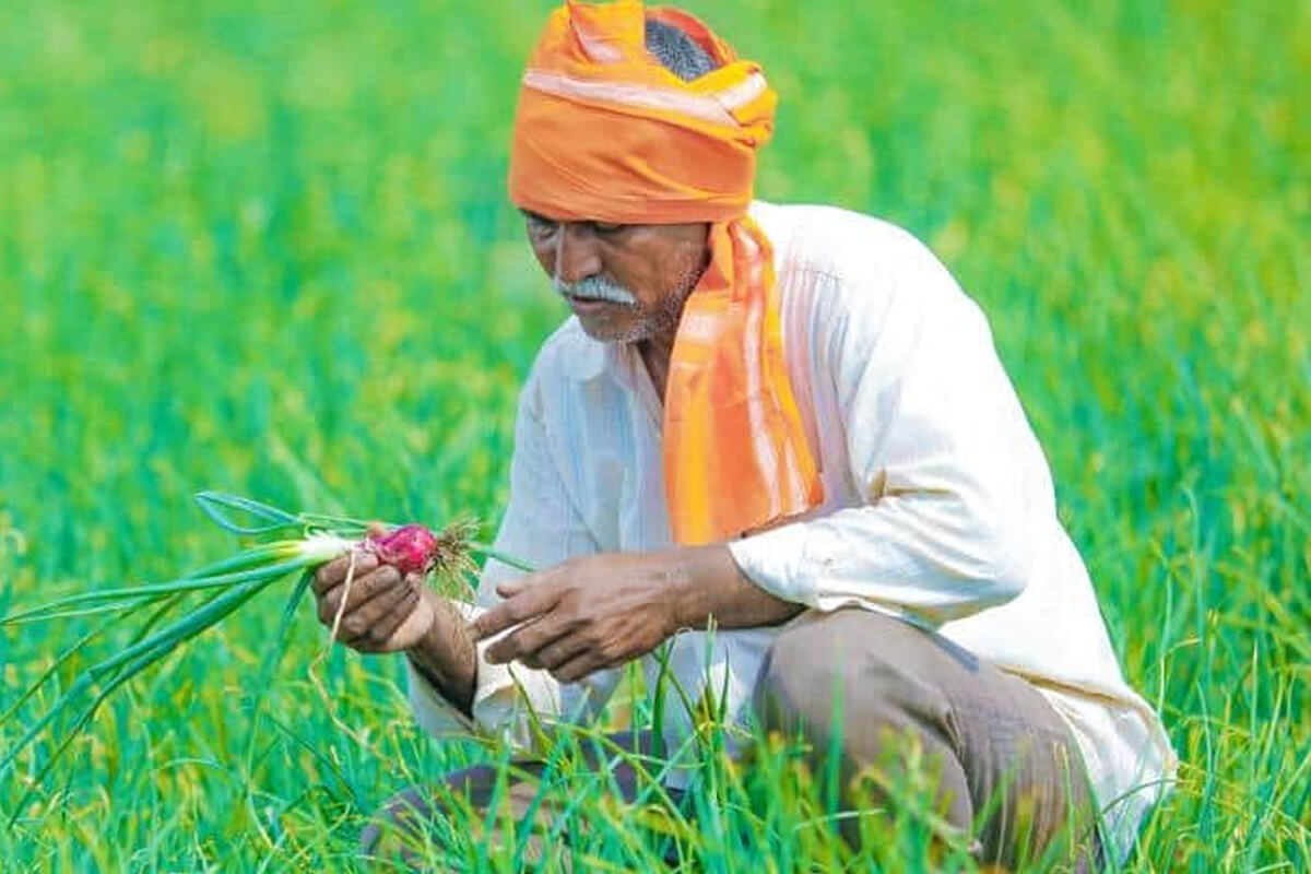 Farmers On The Front Line Farmers On The Front Line