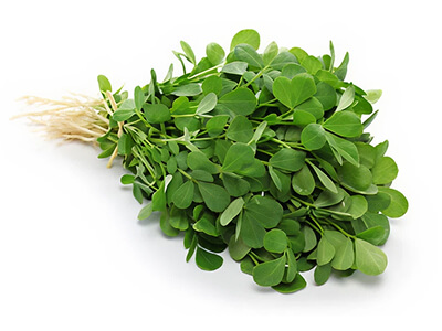 fenugreek-thumb FENUGREEK
