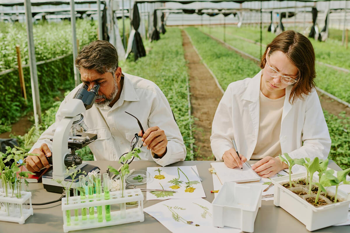 global agricultural research, international farming technology global agricultural research, international farming technology