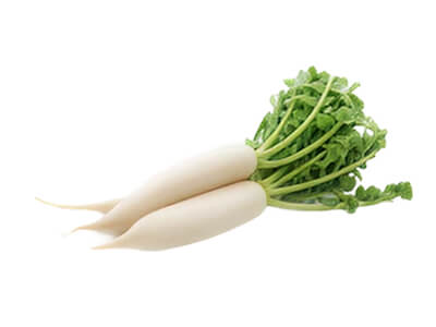 radish-thumb RADISH