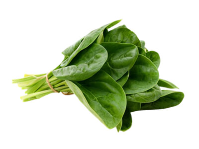 spinach-thumb spinach-thumb