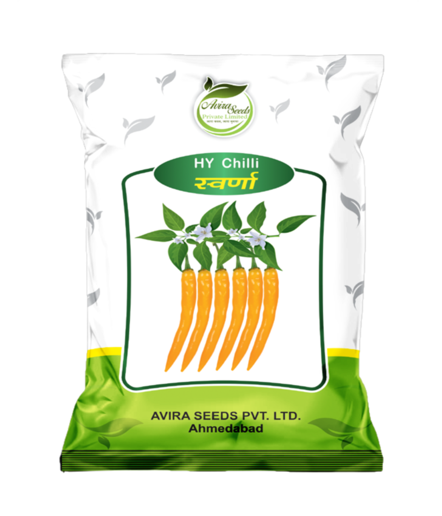 swarna-chilli swarna-chilli