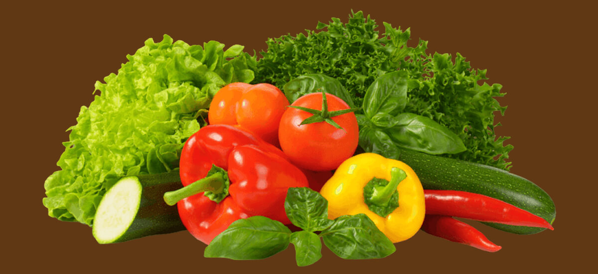 vegetables vegetables