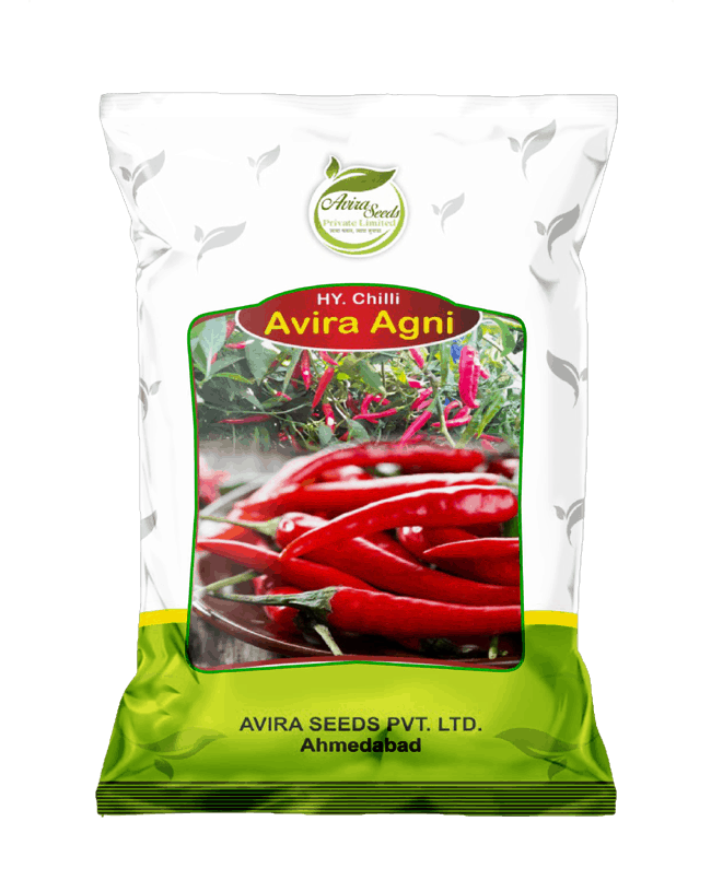 Chilli-Agni-1-1 Chilli-Agni-1-1