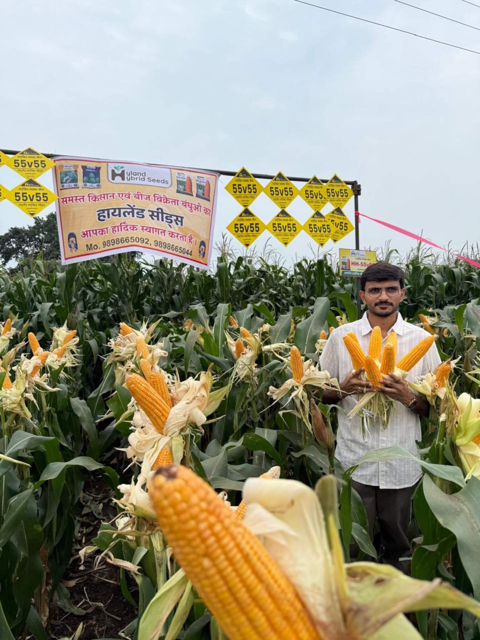 MAIZE-2