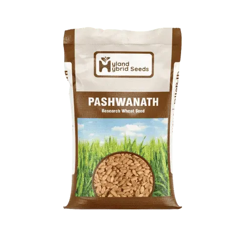 PASHWANNATH-1 Pashwanath Hybrid Wheat Seeds
