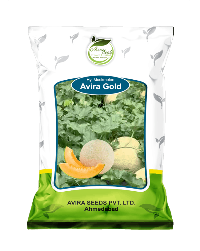 avira gold