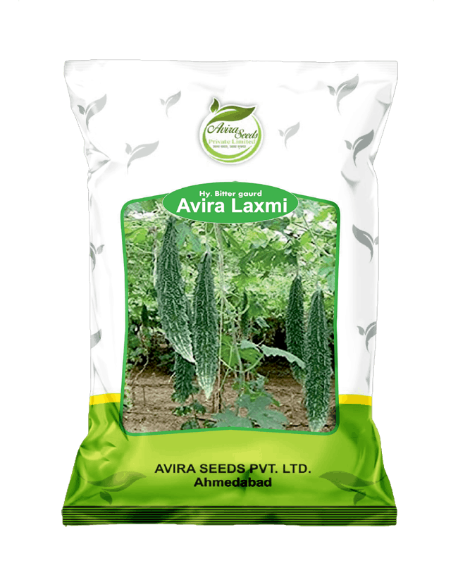 avira laxmi