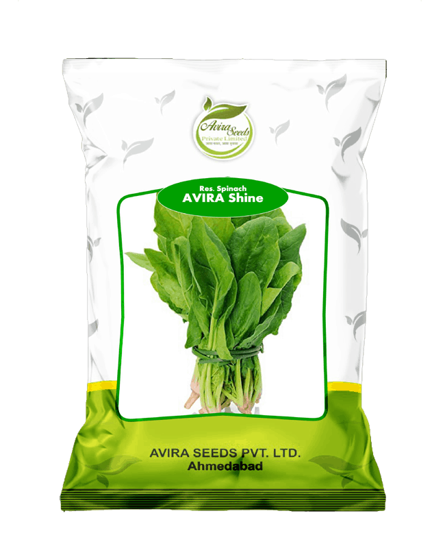 avira shine
