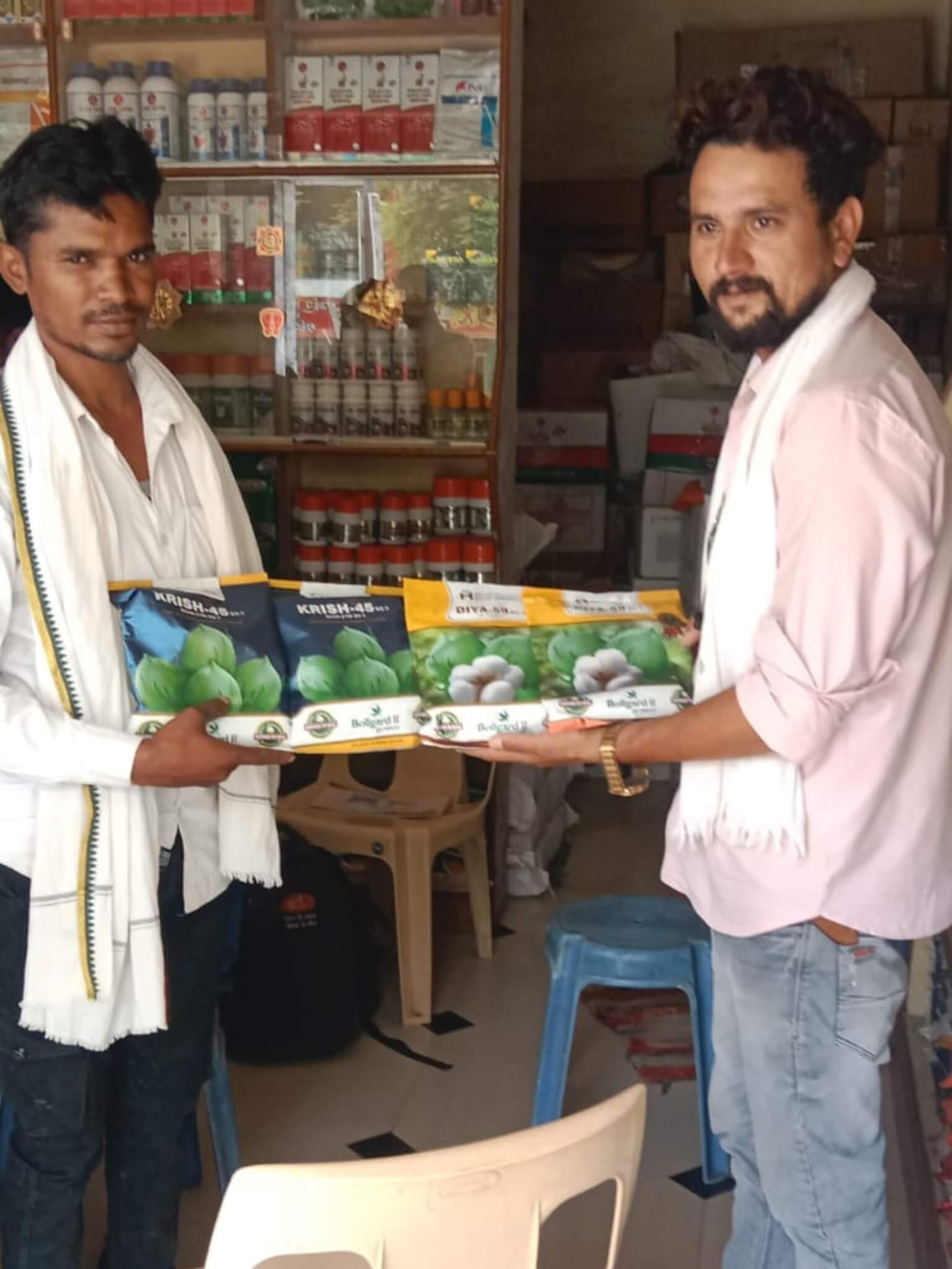 cotton seeds-6