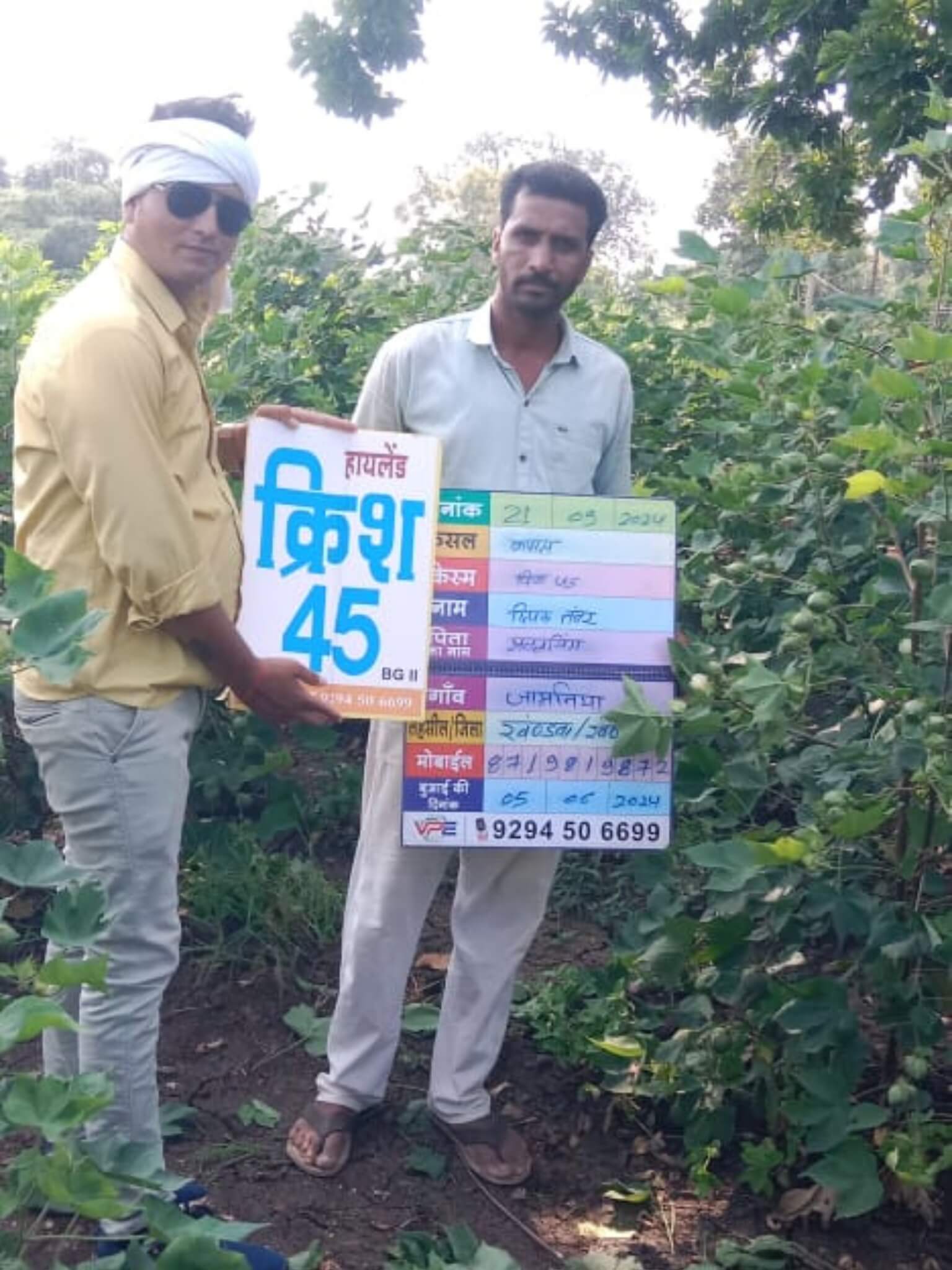 cotton seeds-9